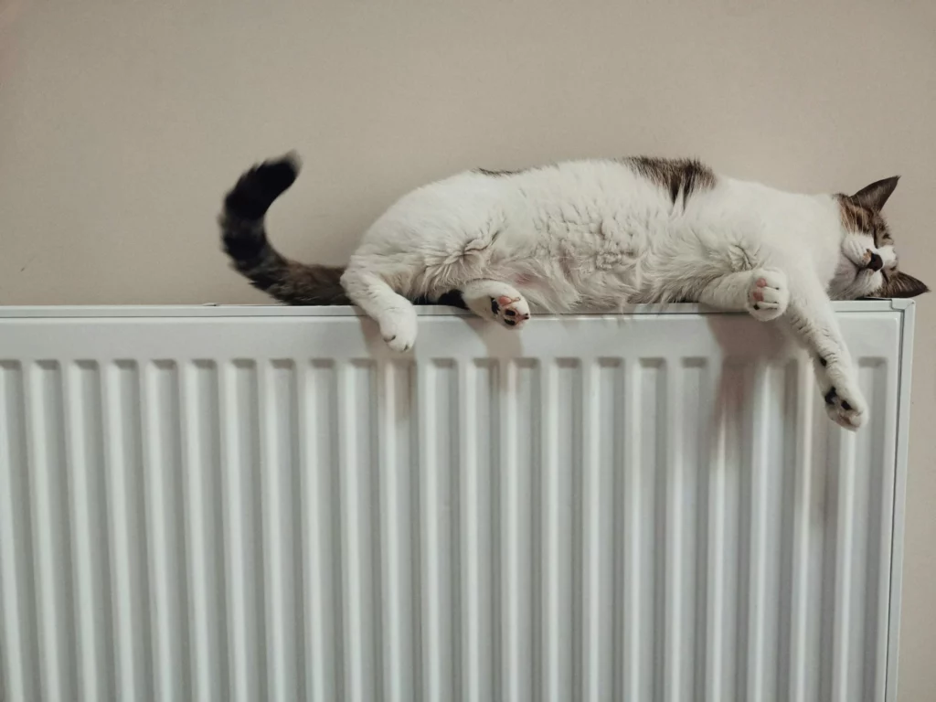 chaudière à condensation gaz